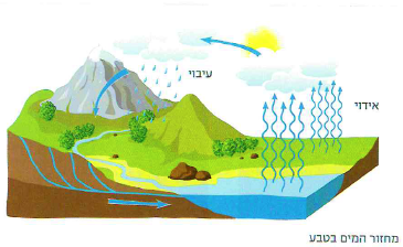 (בספר תמונה:) מועד נדידת העופות מושפע מקרינת השמש.